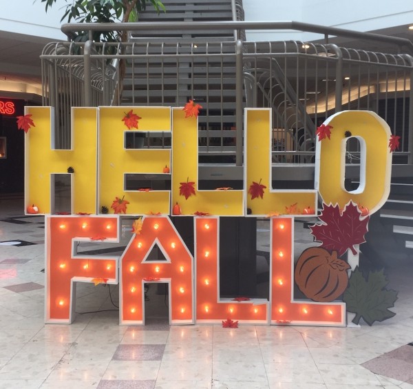 Management Office: Hello Fall